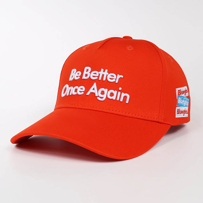 Custom Cotton 5 Panel Curved Brim 3D Embroidery Logo Men Women Baseball Cap