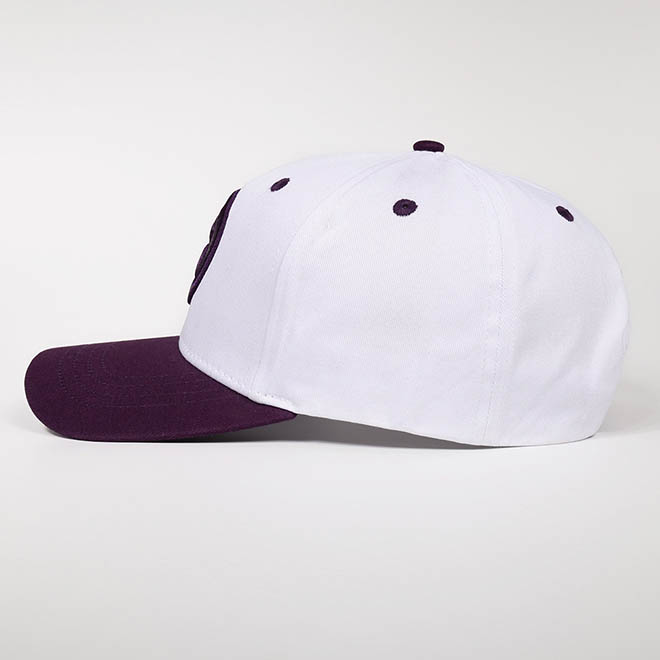 Custom Design 5 Panel Cotton Two Tone 3D Embroidery Logo Hat Baseball Cap