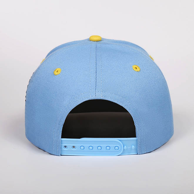 Custom 6 Panel Cotton 2 Tone Embroidery Logo Men Women Hat Baseball Cap