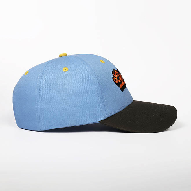 Custom 6 Panel Cotton 2 Tone Embroidery Logo Men Women Hat Baseball Cap