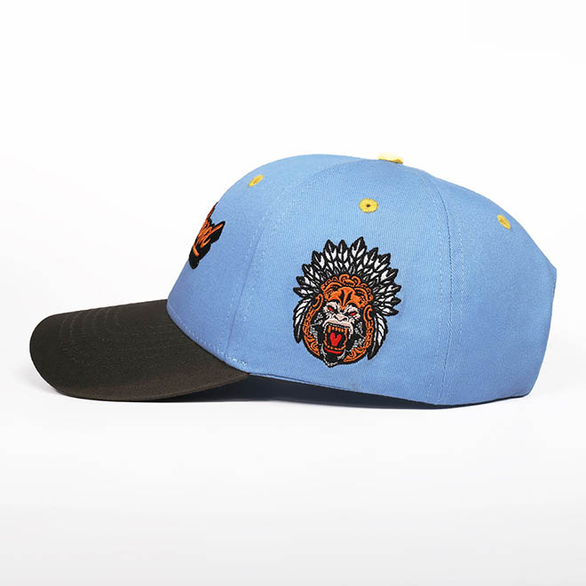 Custom 6 Panel Cotton 2 Tone Embroidery Logo Men Women Hat Baseball Cap