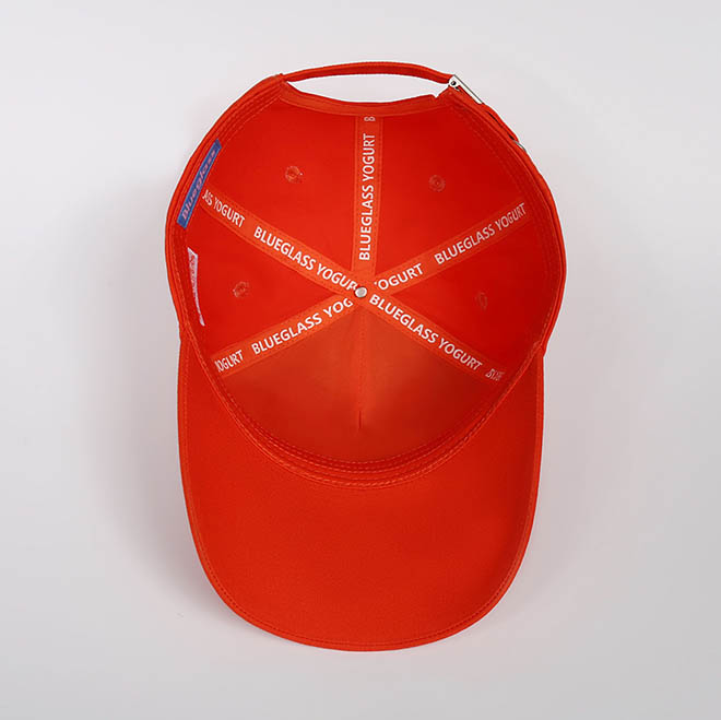 Custom Cotton 5 Panel Curved Brim 3D Embroidery Logo Men Women Baseball Cap